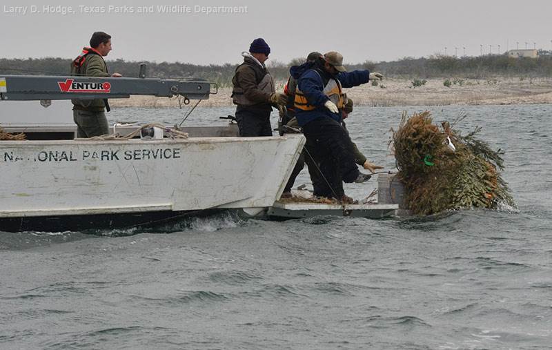 In February 2012, the National Park Service, Texas Parks and Wildlife Department and Del Rio Home Depot worked together to place a fish attractor made of Christmas trees into Lake Amistad. 